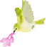 鳥